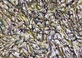 N 012A